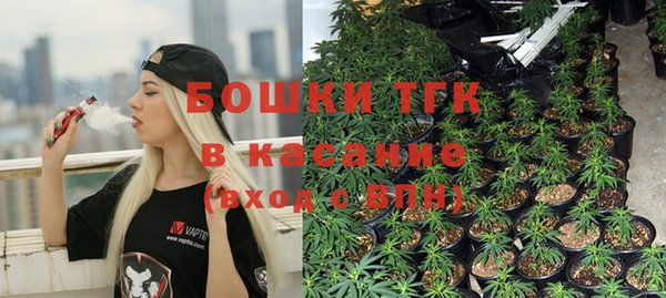 дурь Бронницы