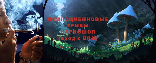 дурь Бронницы