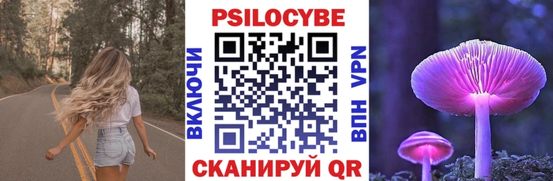 Галлюциногенные грибы Psilocybine cubensis  Кировск 